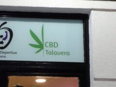 ¿Dónde comprar CBD en Talavera de la Reina? comprar marihuna terapeutica en talavera de la reina