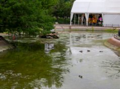 Todo lo que debes saber sobre La Caseta del Lago en las Ferias de San Isidro 2025 en Talavera