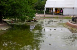 Todo lo que debes saber sobre La Caseta del Lago en las Ferias de San Isidro 2025 en Talavera