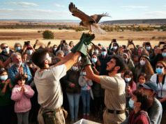 Vive la liberación de aves recuperadas este domingo en Talavera: una experiencia única para toda la familia