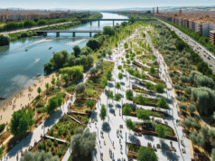 Talavera revitaliza su ribera con la recuperación de más de cinco hectáreas de terreno natural