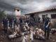 Rescate animal en Toledo: desmantelan un falso refugio con 472 animales en condiciones insalubres