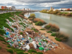 Basura oculta sale a la luz tras labores de desbroce en la ribera del río Tajo en Talavera
