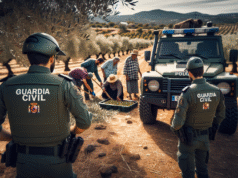 Refuerzo de la Guardia Civil en la campaña de recogida de aceituna: seguridad y prevención en el medio rural