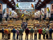 Talavera acogerá el Campeonato Nacional de Ornitología 2024: fecha, ubicación y todo lo que necesitas saber